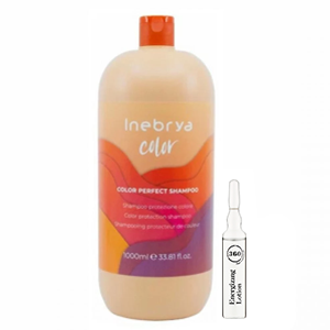 Inebrya Шампунь для окрашенных волос Ice cream PRO-COLOR, 1000 мл + Kaaral Энергетический лосьон для волос 360 Energizing, 10 мл