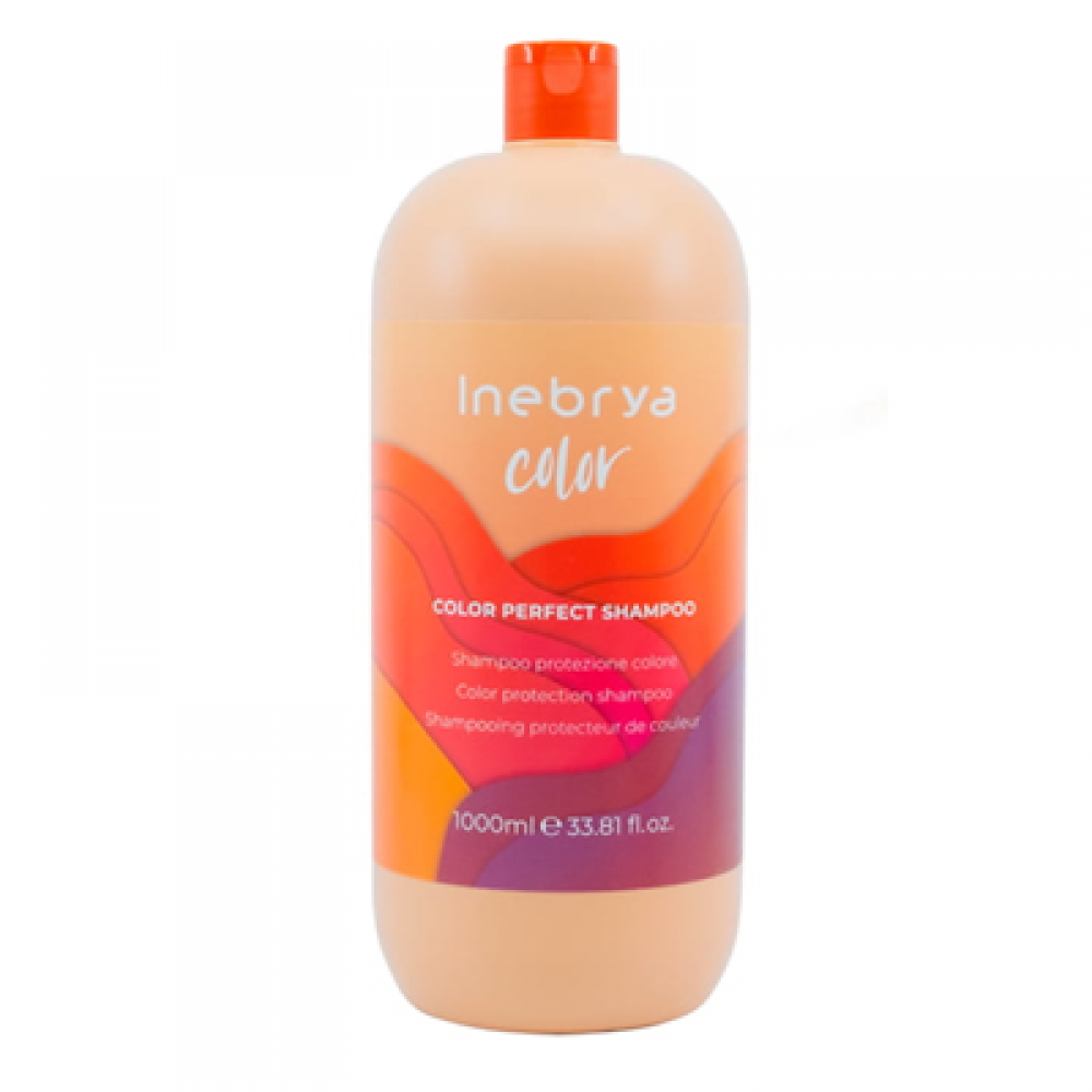 Inebrya Шампунь для окрашенных волос Ice cream PRO-COLOR, 1000 мл